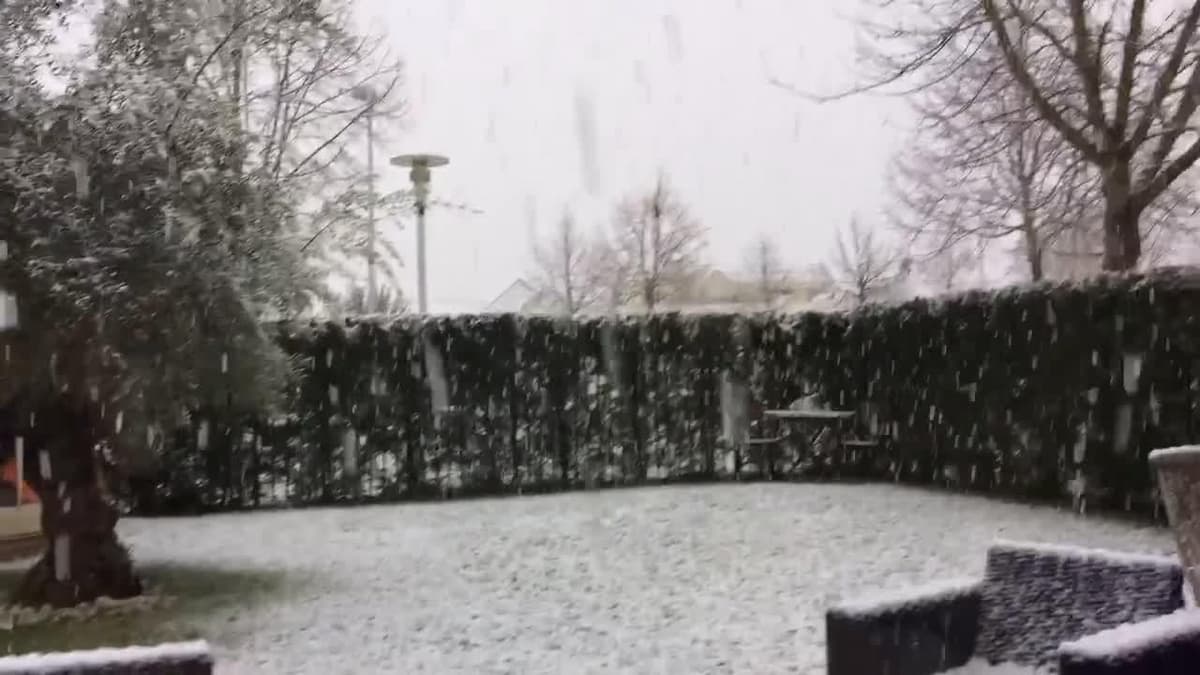 placeholder video