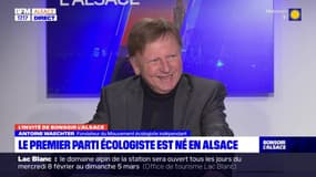 Alsace: le premier parti écologiste d'Europe fête ses 50 ans