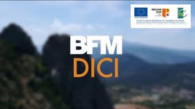 BFM DICI, partenaire de la Région Sud et de l'Union européenne.