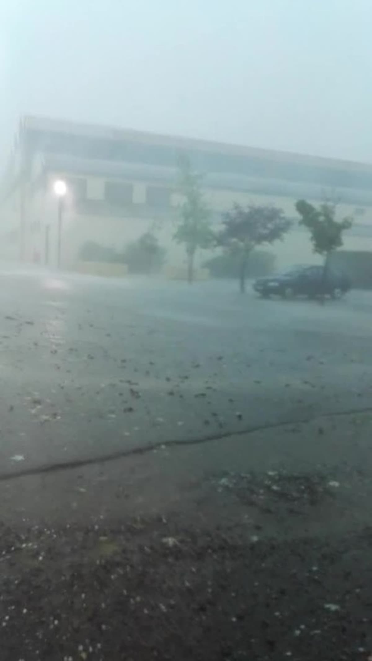 placeholder video