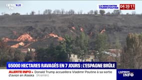 65.000 hectares ravagés en 7 jours: l'Espagne en proie à de violents incendies