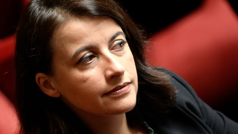 Cécile Duflot à l'Assemblée nationale, en octobre 2014.