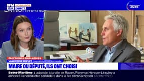 Législatives: rester maire ou devenir député, plusieurs personnalités ont choisi en Normandie