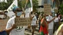  Les Martiniquais protestent contre la menace de prescription dans le dossier du chlordécone 