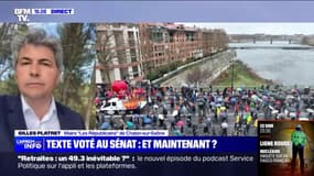 Réforme des retraites: "La réalité politique du pays doit coller avec la réalité parlementaire", exhorte Gilles Platret