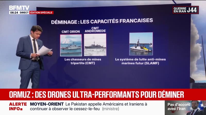 Déminage du détroit d'Ormuz: de quelles capacités la France bénéficie-t-elle?