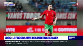 LOSC: 10 joueurs sont partis pour des rencontres internationales