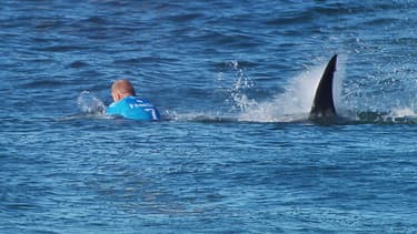 Le surfeur Mick Fanning a été victime d'une attaque de requin dimanche 19 juillet en Afrique du Sud.