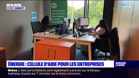 Hauts-de-France: une plateforme pour assister les entreprises dans leurs démarches