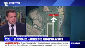 Corée du Sud : comment expliquer le crash ? - 29/12