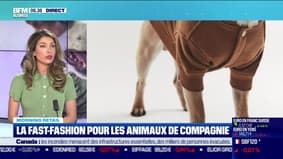 Morning Retail : La fast-fashion pour les animaux de compagnie, par Noémie Wira - 08/06