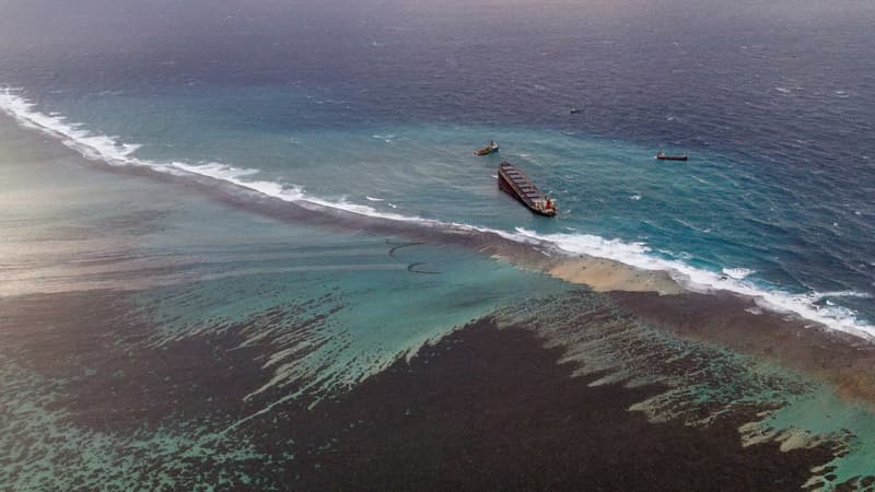 Plus de 1000 des 4000 tonnes de carburant se sont déjà déversées dans les eaux de l'île Maurice.