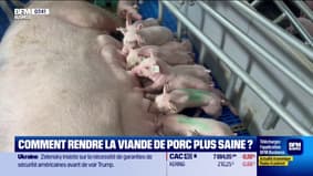 Agri -Food: Comment rendre le porc plus sain?