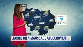 Météo ile de france 10 janvier