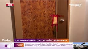Villeurbanne : une adolescente de 12 ans tuée à l'arme blanche