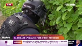 La compagnie spécialisée "CRS 8" bien accueillie 