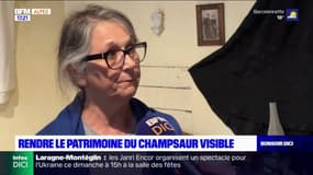 Champsaur: la réalisatrice Danielle Racanière raconte l'histoire de son documentaire-fiction "Dans les pas de Pete"