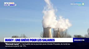 Bugey: les salariés de la centrale en grève