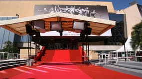 Le tapis rouge du Festival de Cannes