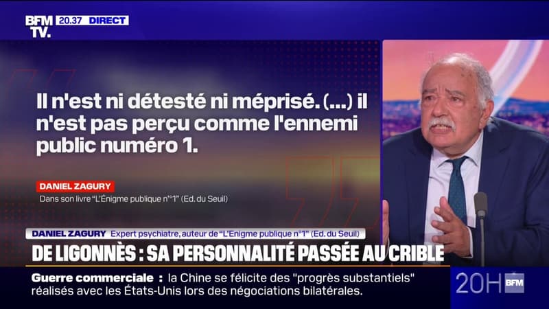 Affaire Xavier Dupont de Ligonnès: 