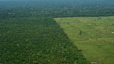 Vue aérienne de la déforestation dans l'Amazonie au Brésil, le 22 septembre 2017 (Photo d'illustration)
