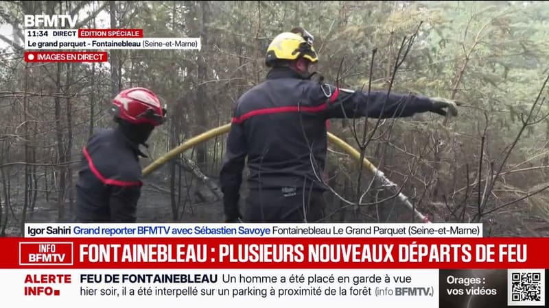 Incendie de Fontainebleau: les hélicoptères bombardiers d'eau en action sur les reprises de feu