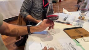 Le Beaujolais se dégustera ce 21 novembre 2024, mais certains ont pu goûter le primeur, avant tout le monde, ce week-end lors de la 24e édition du Trophée des Beaujolais Nouveaux à Anse (Rhône)