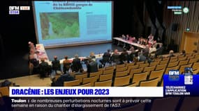 Dracénie: les enjeux pour 2023