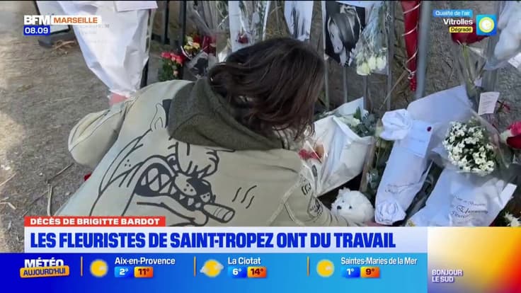 Décès de Brigitte Bardot : les fleuristes de Saint-Tropez très sollicités