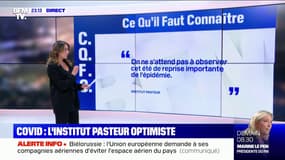 Covid-19: l'Institut Pasteur se montre plutôt optimiste pour cet été