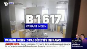 Covid-19: trois cas du variant indien détectés en France