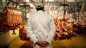 Entre 1998 et 2019, la quantité moyenne de viande consommée par habitant a baissé de 8,3%.