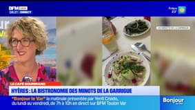 Aujourd'hui, on parle vendange et gastronomie avec Marie Tabacchi dans le Café Gourmand