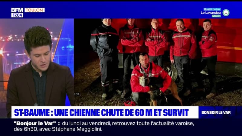 Massif de la Sainte-Baume: une chienne survit à une chute de 60 mètres