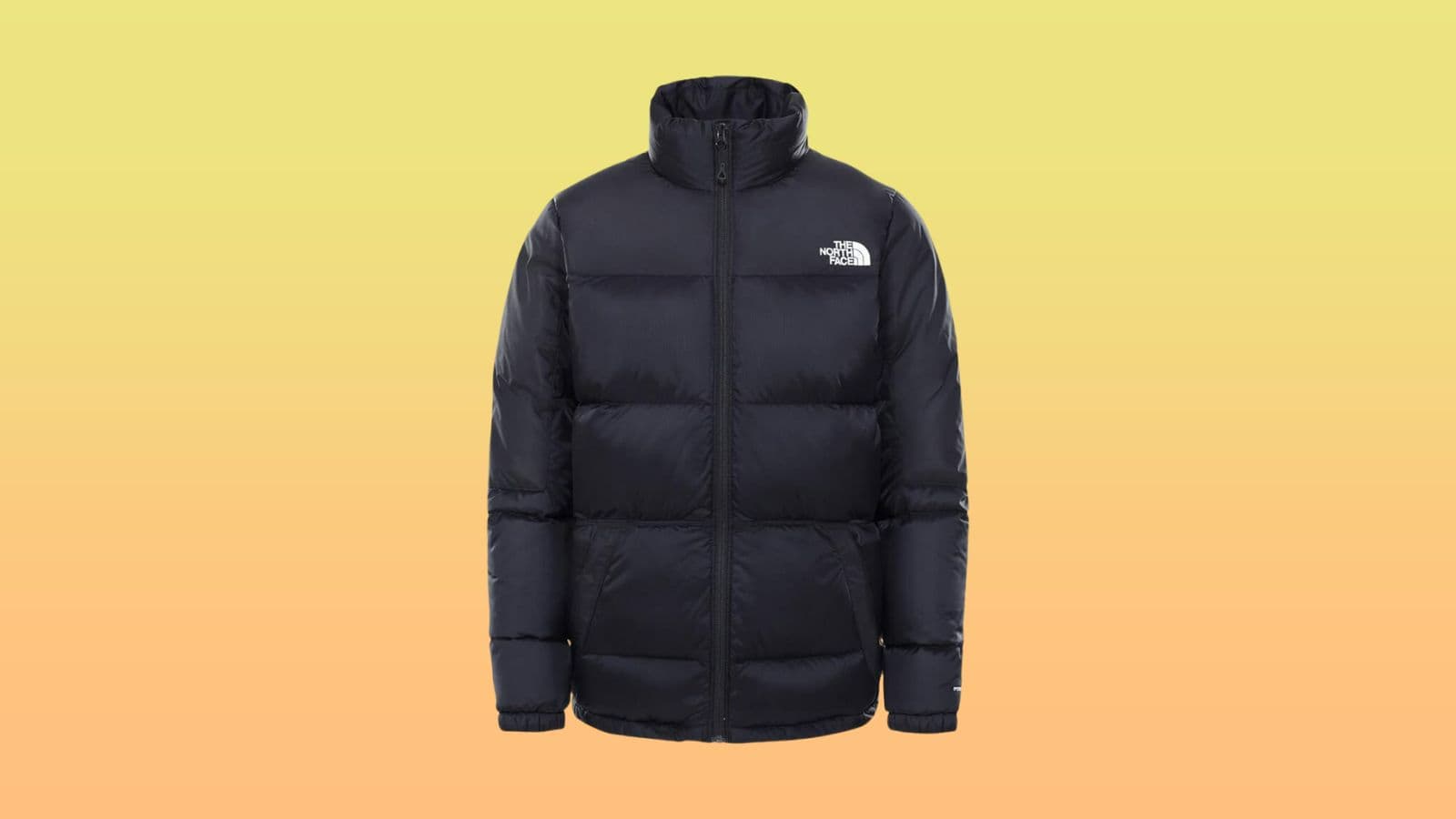 Le site officiel The North Face casse le prix de ses doudounes