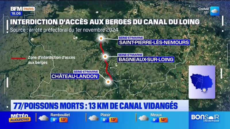 Poissons morts en Seine-et-Marne: 13km de canal vidangés