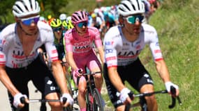 Tadej Pogacar (UAE Team Emirates) lors de la 8e étape du Giro, le 11 mai 2024.