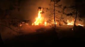 Incendie en forêt de Sénart