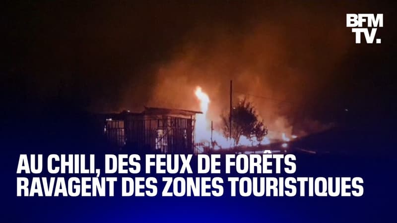 Au Chili, de violents feux de forêts ravagent des zones touristiques