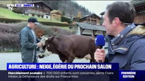 La rencontre (très agitée) avec Neige, prochaine égérie du salon de l'Agriculture