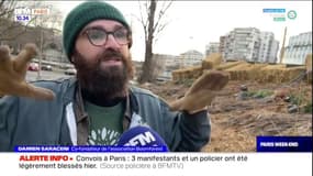 Paris: 2700 arbres plantés le long du périphérique 