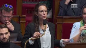 À l'Assemblée, la députée LFI Clémence Guetté affirme que "le Parlement fonctionne bien" sans les députés de la majorité