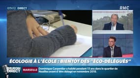 Rentrée 2019: Qu’est-ce que les "éco-délégués" voulus par Jean-Michel Blanquer ?
