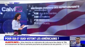 Membres du Congrès, gouverneurs, référendums: pour quoi votent les Américains ?