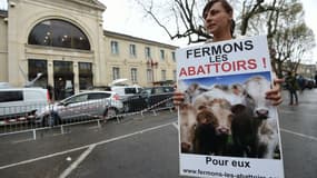 Une manifestante de L214 devant le tribunal d'Alès le 23 mars 2017