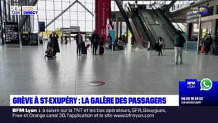 Grève des contrôleurs aériens: la galère des voyageurs à l'aéroport de Lyon Saint-Exupéry 