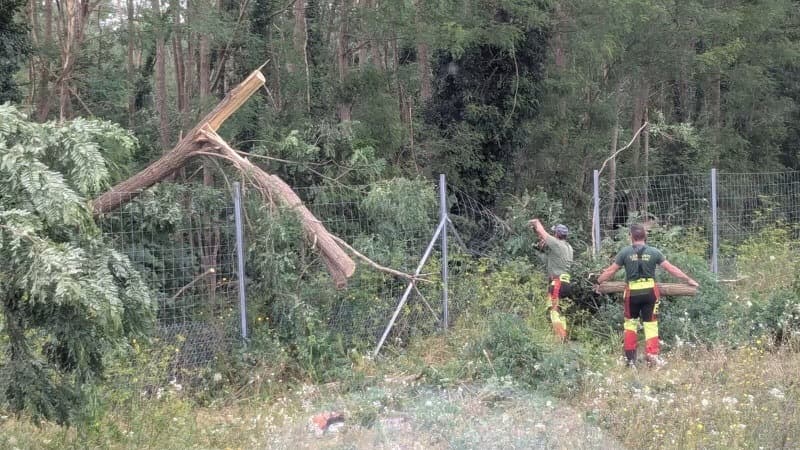 Des arbres cassés par la mini tornade en Bourgogne qui a entrainé une interruption du trafic sur la LGV Sud-Est ce mercredi 31 juillet Des arbres cassés par la mini tornade en Bourgogne qui a entrainé une interruption du trafic sur la LGV Sud-Est ce mercredi 31 juillet