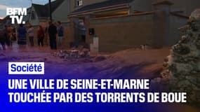   La ville de Thieux, en Seine-et-Marne, touchée deux fois en 24 heures par des torrents de boue