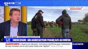 Yannick Jadot sur l'accord UE-Mercosur: "Ce qui va nous arriver est une agriculture extrêmement intensive"