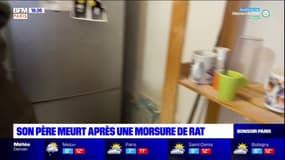 Paris: une femme porte plainte contre le bailleur social Paris Habitat pour homicide involontaire après la mort de son père, mordu par un rat